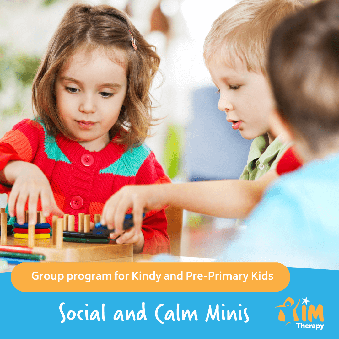 Social & Calm Minis Group Website Cover Image