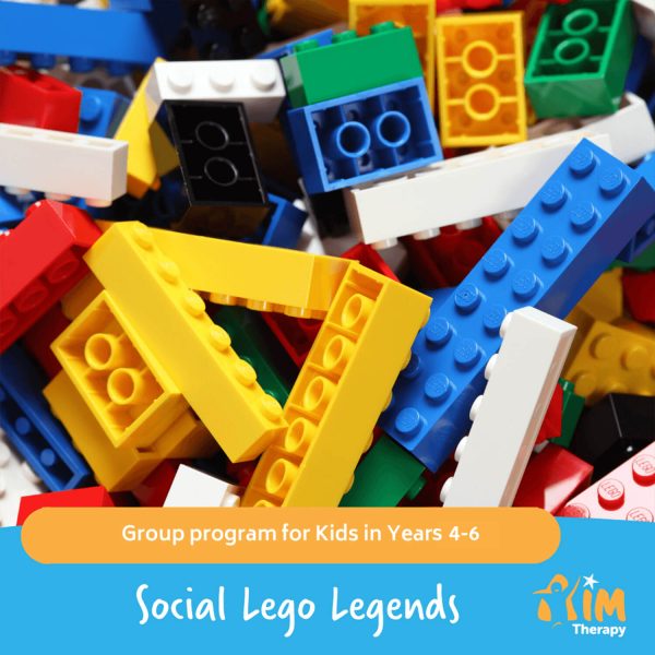 Social Lego Legends AIM Therapy for Children
