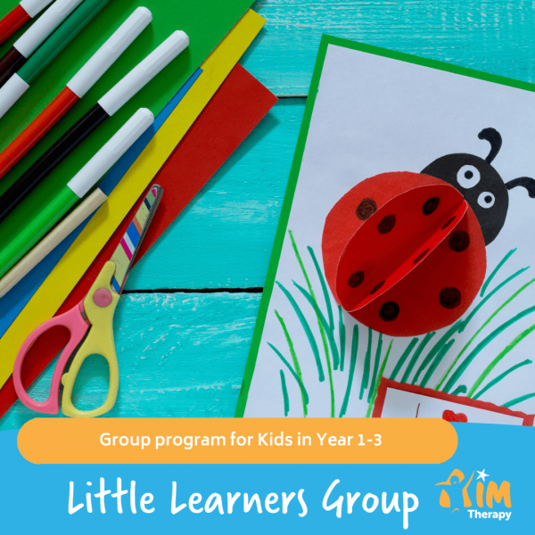Little Learners Group AIM Therapy for Children