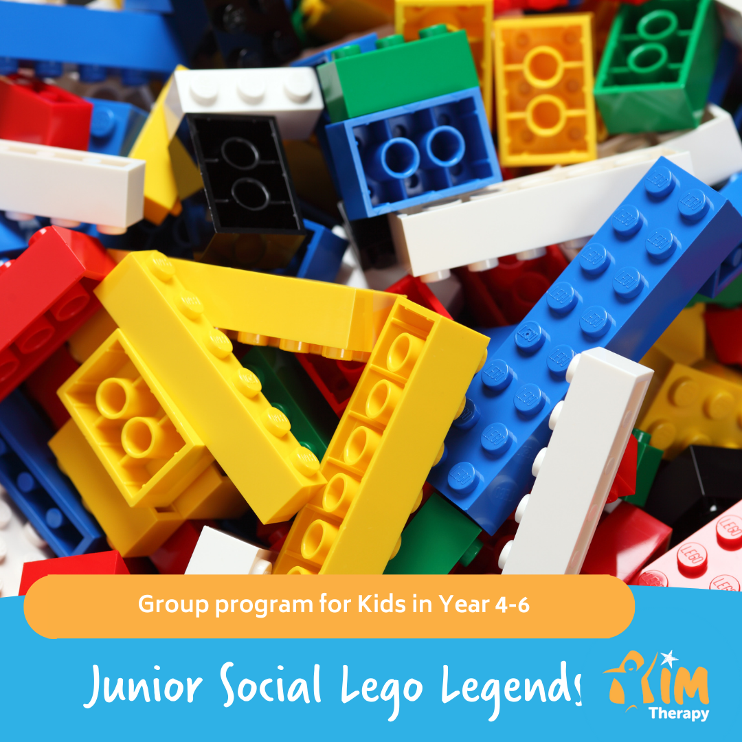 Junior Social Lego Legends Cover